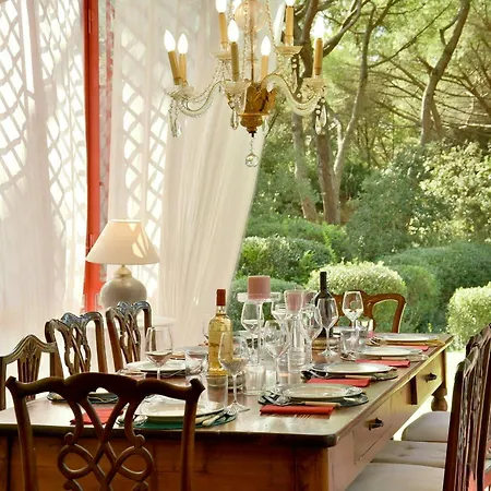 Seaside In Pine Forest 毕博纳的码头